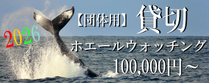 貸切ホエール